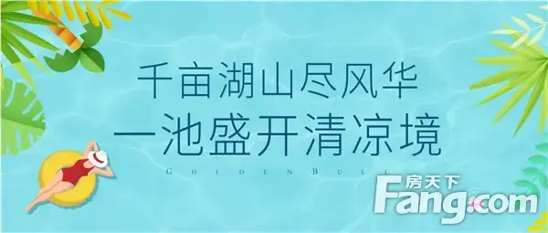 金牛国际社区|千亩湖山尽风华 一池盛开清凉境