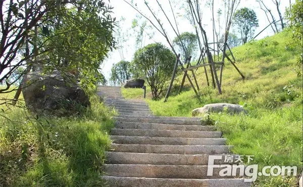 【南湾·琨御府】洋房or高层，鱼和熊掌究竟哪个更香？
