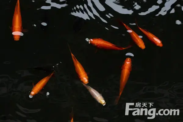 十一嘉年华｜信合·春天里欢乐多，嗨玩攻略抢先看~