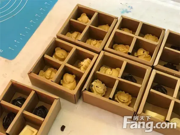 定格美好时光丨信合·春天里「十一嘉年华」精彩落幕！
