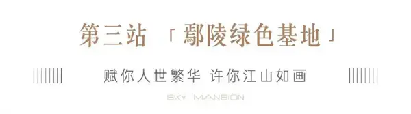 【信阳建业·天筑】走进建业 | 旦逢良辰 幸与同行