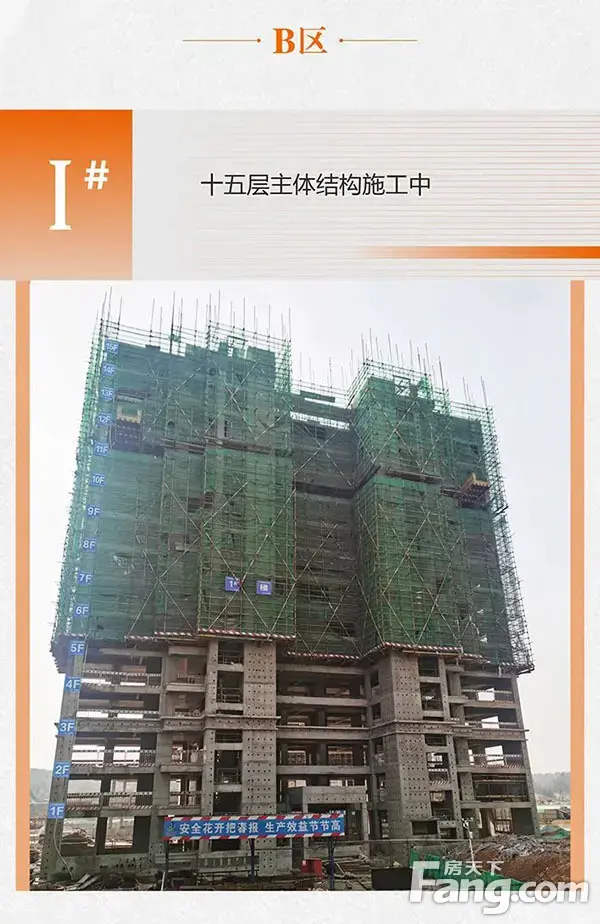 信合·春天里11月家书|初冬暖心一笺 美好渐入“家境”