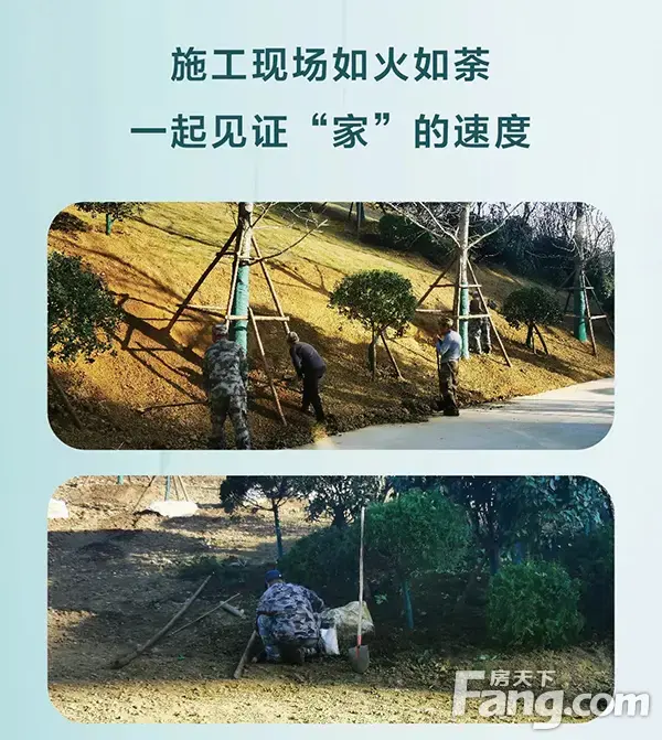 【信合公园里】十二月家书|岁末叙温情，家书暖人心