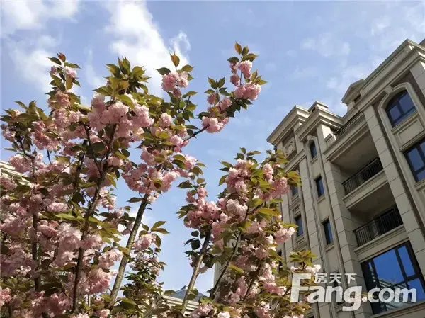 春回大地，万物复苏|琨御府车活动火爆进行中！