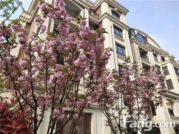 春回大地，万物复苏|琨御府车活动火爆进行中！