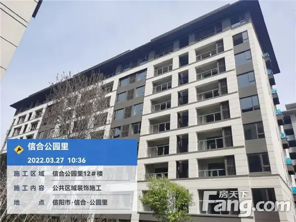 信合·公园里︱工程播报 施工热火朝天