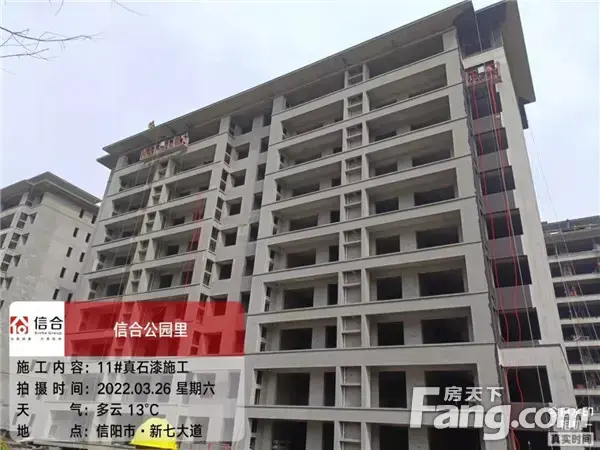 信合·公园里︱工程播报 施工热火朝天