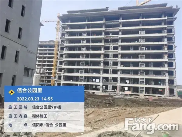 信合·公园里︱工程播报 施工热火朝天