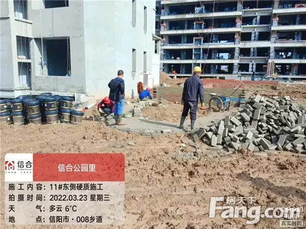信合·公园里︱工程播报 施工热火朝天