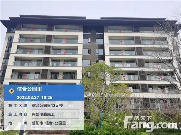 信合·公园里︱工程播报 施工热火朝天