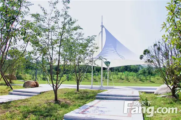【南湾·琨御府】春光明媚，疫去花开，是时候拥抱最美好的阳光！