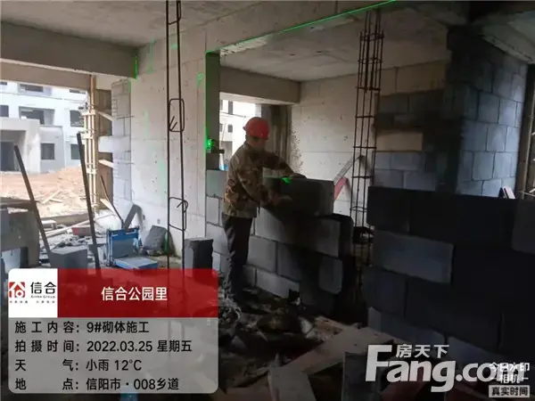 信合·公园里︱工程播报 施工热火朝天