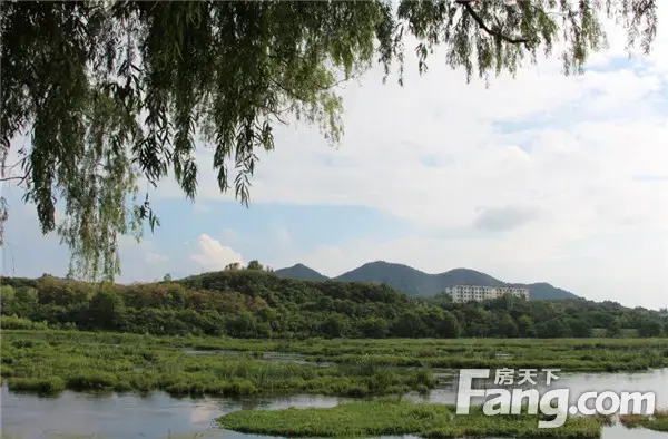 【南湾·琨御府】春光明媚，疫去花开，是时候拥抱最美好的阳光！