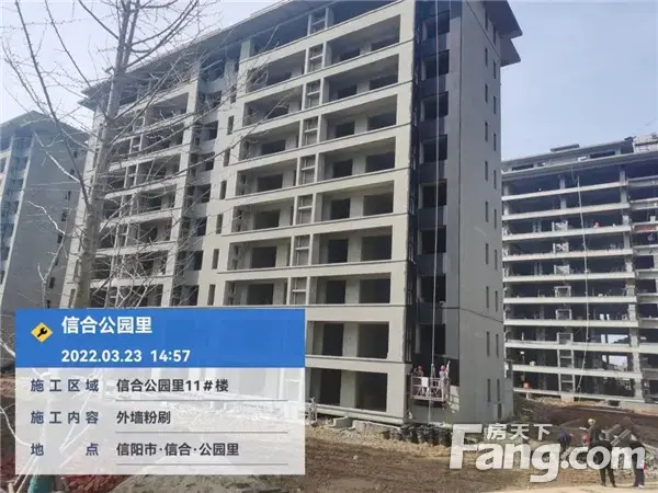信合·公园里︱工程播报 施工热火朝天
