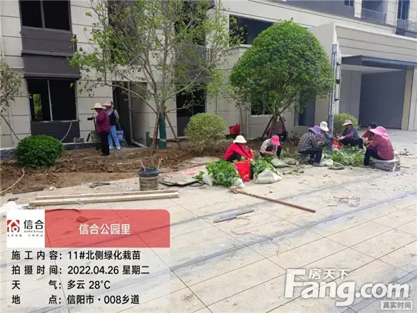 信合·公园里︱4月工程播报 春暖花开 家境初成