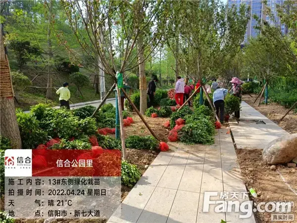 信合·公园里︱4月工程播报 春暖花开 家境初成