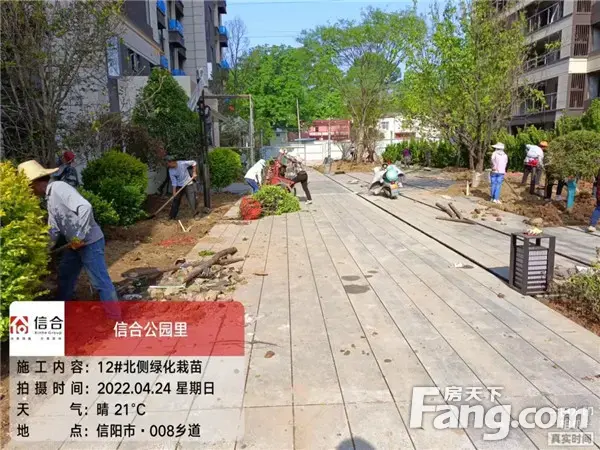 信合·公园里︱4月工程播报 春暖花开 家境初成