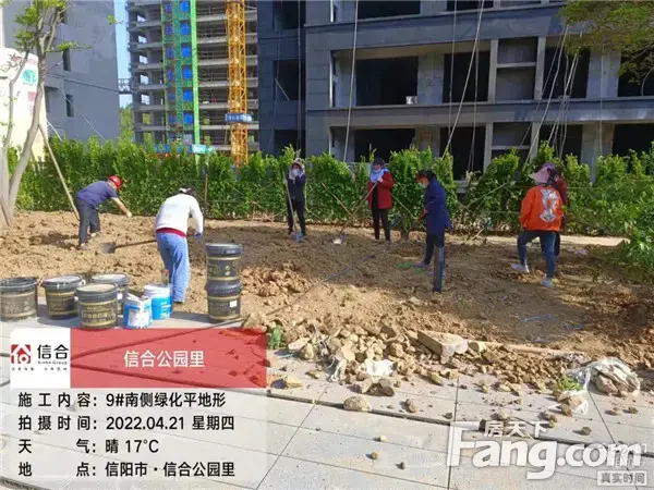信合·公园里︱4月工程播报 春暖花开 家境初成