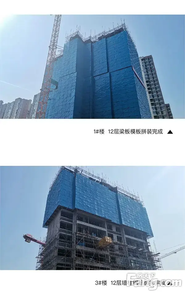 建业·天筑丨时光凝筑，共鉴家音