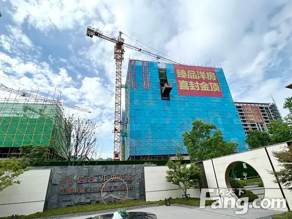 信合·中央公园丨匠心倾筑，喜封金顶，美好生活渐入家境。