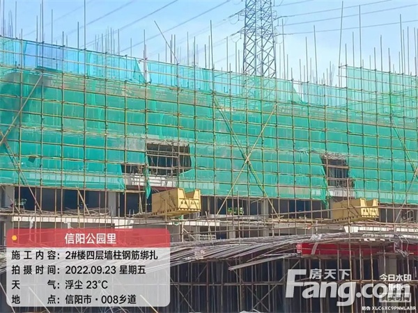 【信合公园里】9月家书丨步履不停，“家”速兑现！