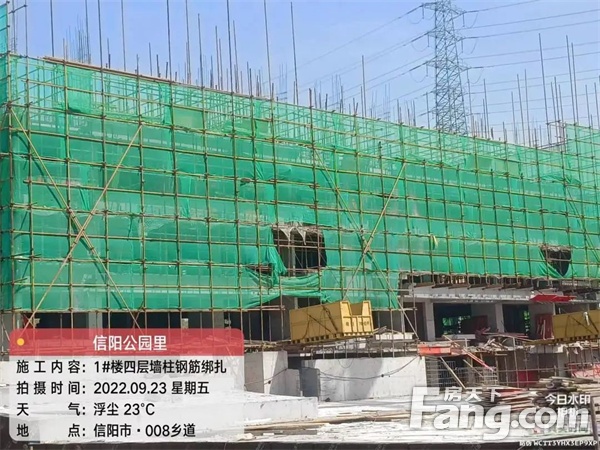 【信合公园里】9月家书丨步履不停，“家”速兑现！
