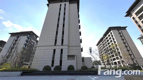 【信合公园里】9月家书丨步履不停，“家”速兑现！