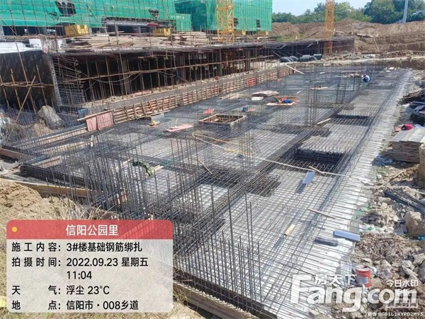 【信合公园里】9月家书丨步履不停，“家”速兑现！