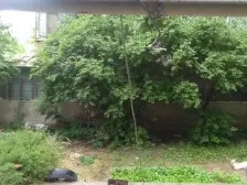 小区环境好,停车方便,一室小户型。价格低