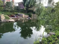 临河景观房,高层采光无遮挡,房东诚心卖