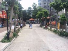 【同集南路】| 厦门市同安区同集中路1279号203室