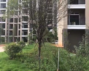 【梅花雅庭】| 长沙县果园镇花果路1号泰禾浅山苑Y14栋903号房产