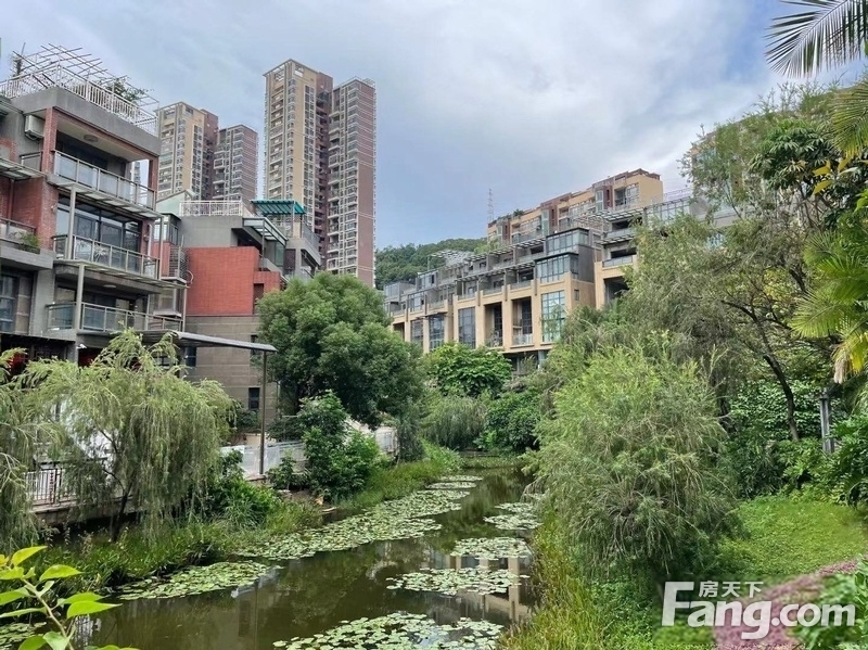 御峰园三层别墅,带地下室固定停车位和院子,可看小区喷泉位置,深圳