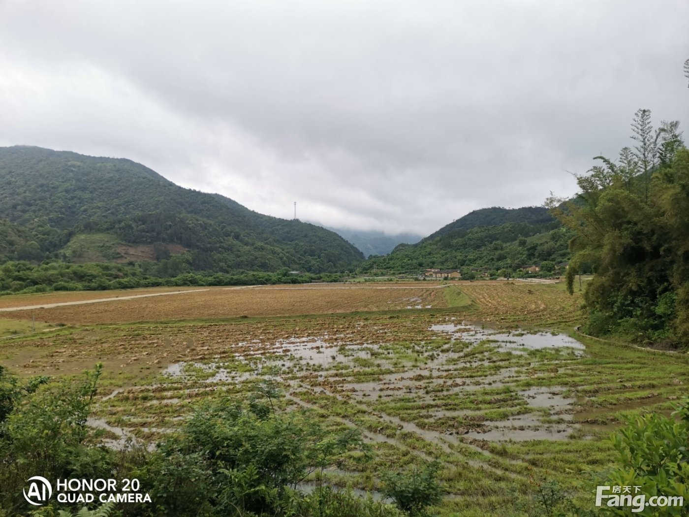 转让江门恩平市460亩生态休闲农场用地