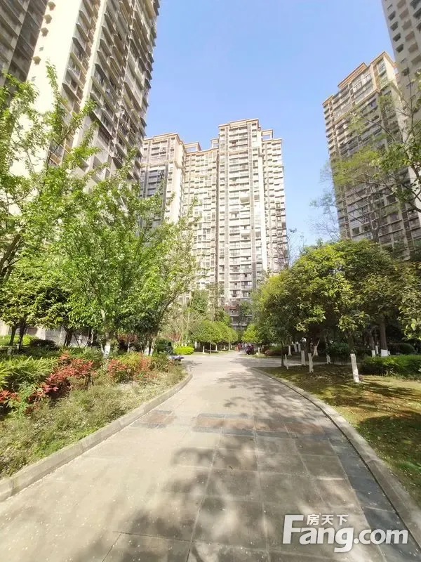 小区环境优美 南北通透 附近设施完善,南充顺庆区市政新区江与城二手