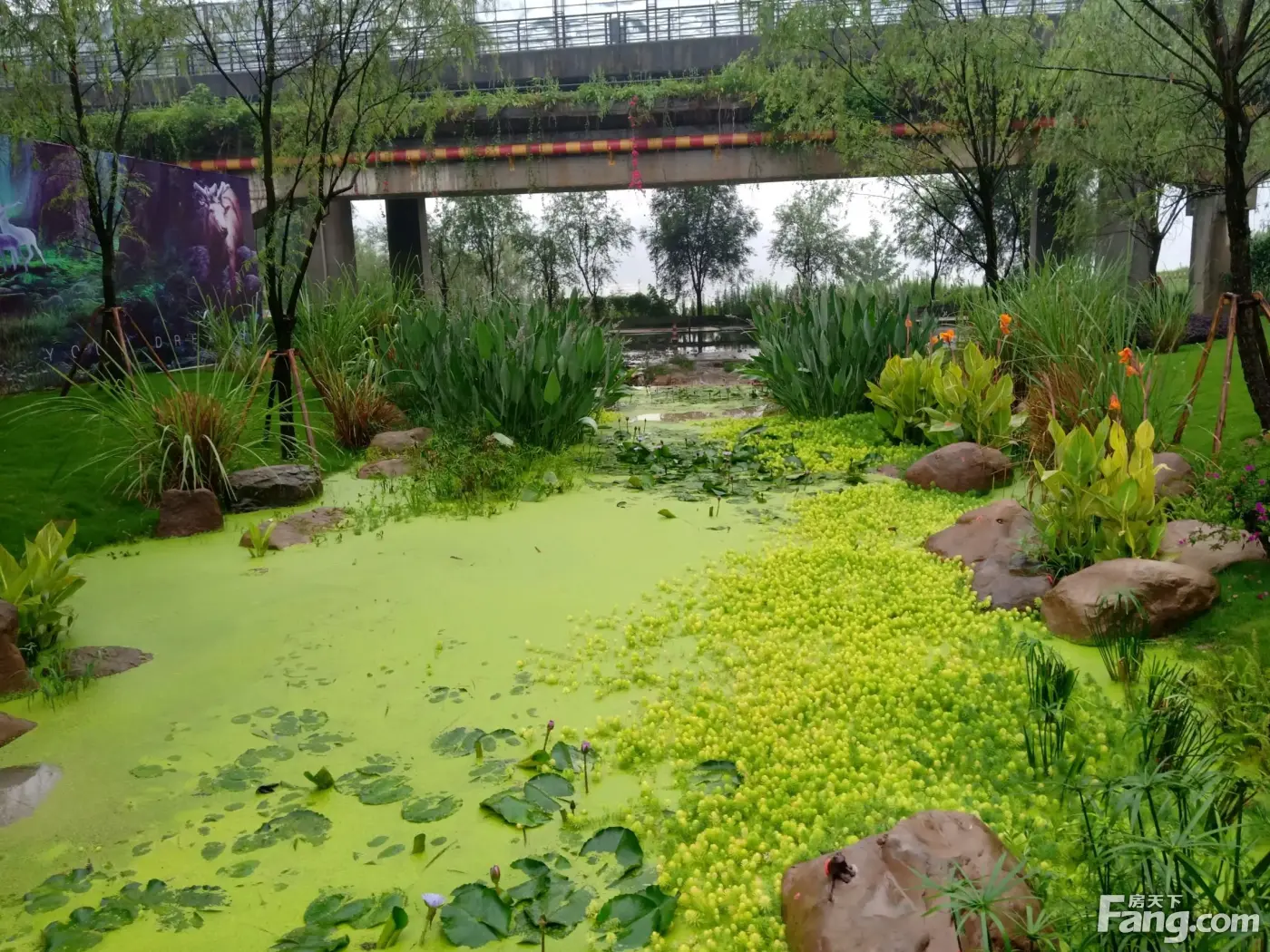 千江凌雲溪谷公園,生態自然美,悠然愜意!