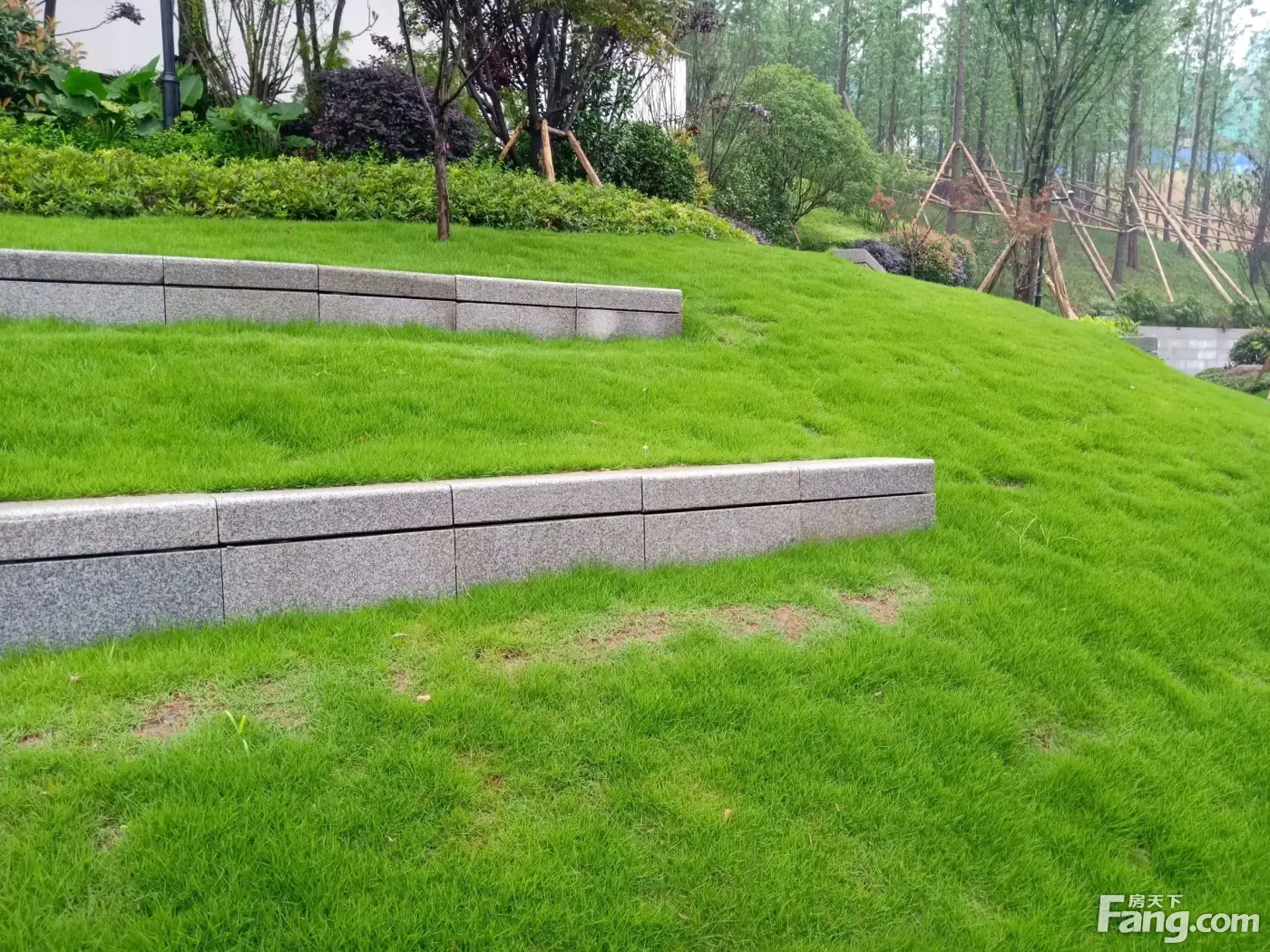 千江凌雲溪谷公園,生態自然美,悠然愜意!