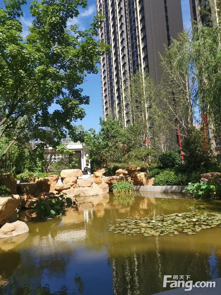 帝王国际新拍现场图片,实时了解楼盘新动态!