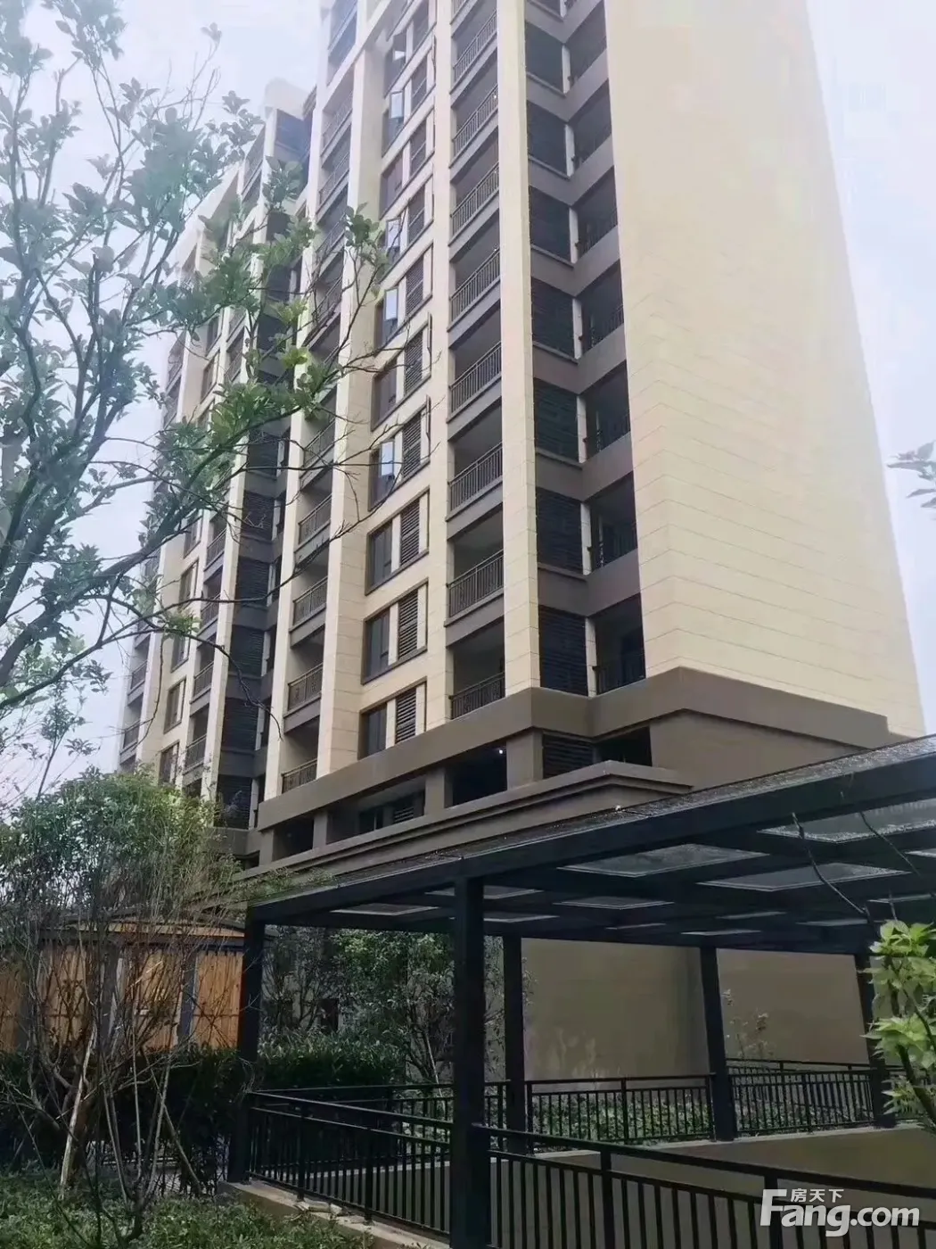 欣隆盛世半岛居然有这么多新鲜事