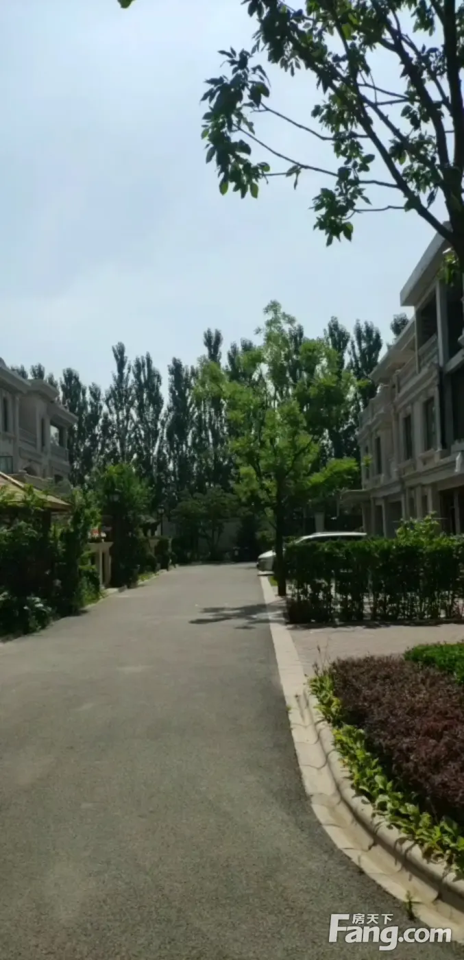 阳光城花满墅好不好置业顾问从项目现场发回新鲜组图