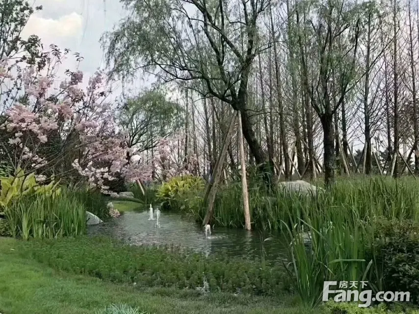 恒大银海湖新拍现场谍照,实时了解楼盘新动态!