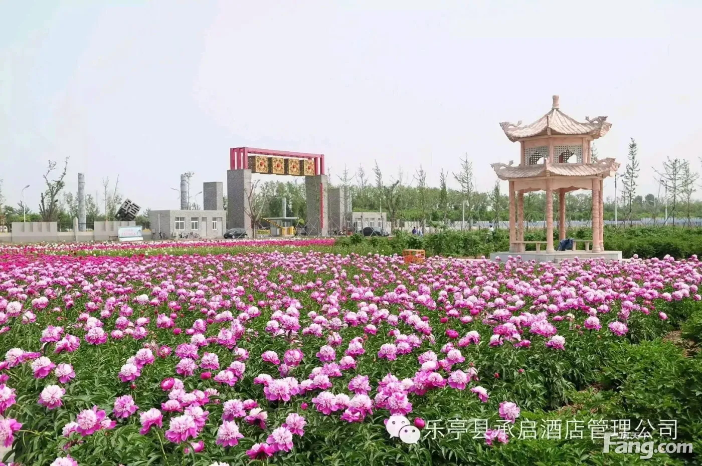 乡韵庄园怎么样看置业顾问潘虹发布了一条项目新消息