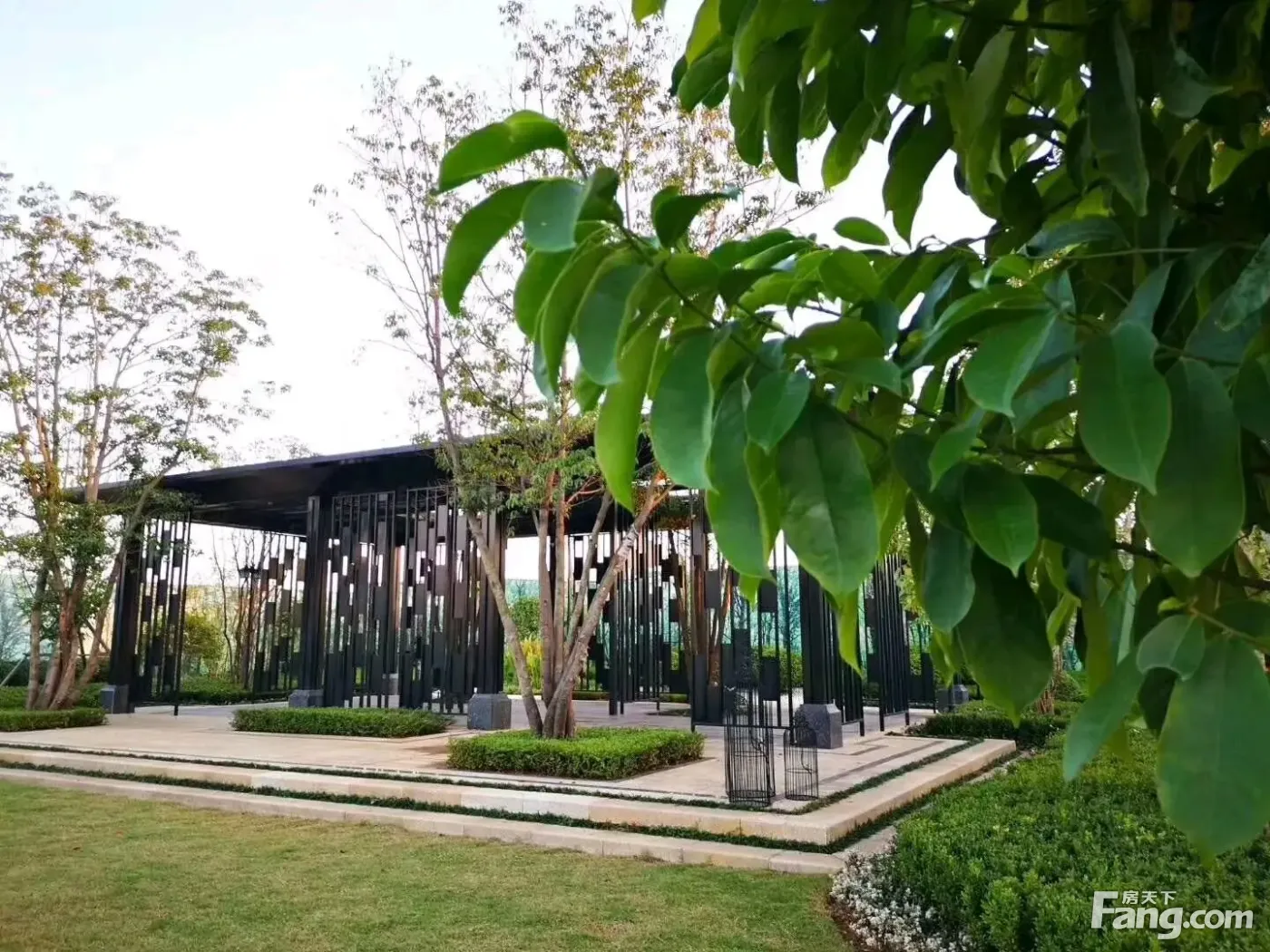 置业顾问从项目现场发回新鲜组图-湘潭新房网-房天下