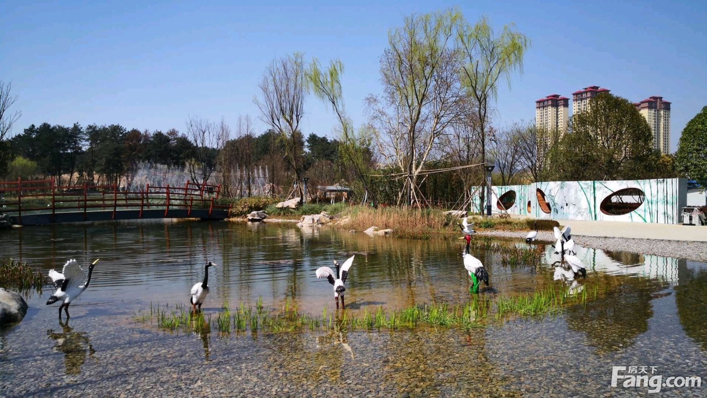 贵阳花溪龙湖图片