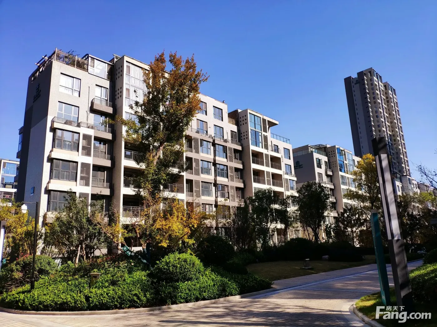 置业顾问从项目现场发回新组图-洛阳新房网-房天下