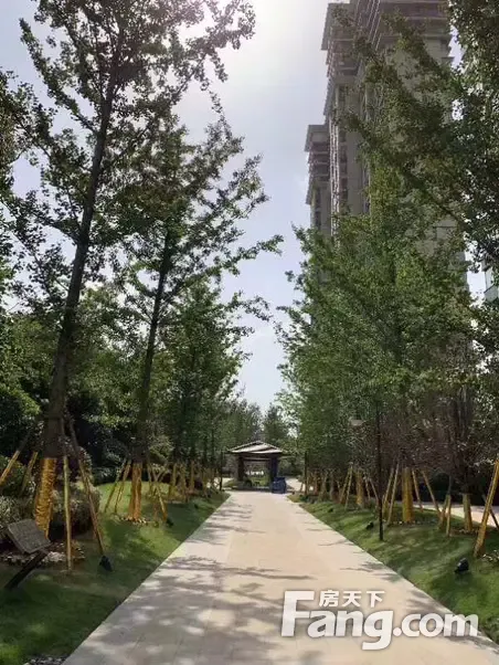 周边交通配套测评,建业·平西尊府优劣势分析-平顶山房天下