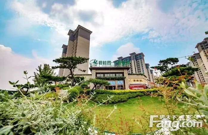 碧桂园十里春风新拍现场图片实时了解楼盘新动态