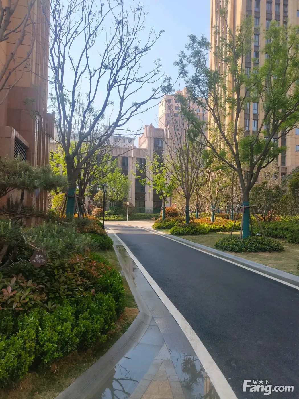 从建业壹号城邦现场发来5条项目新消息,请查看!