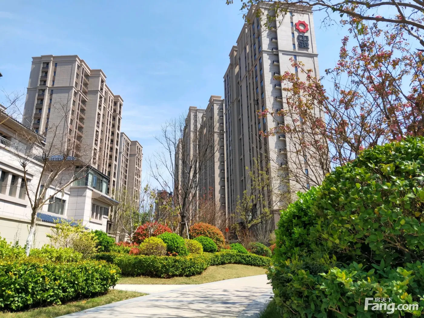 中骏·雍景台好不好?置业顾问从项目现场发回新鲜组图