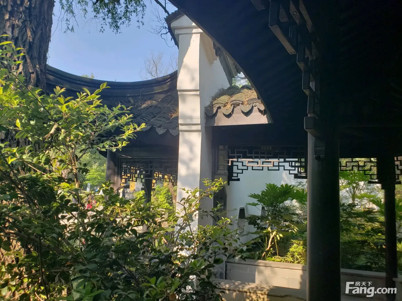 从九洲南广场花园现场发来5条项目新消息请查看
